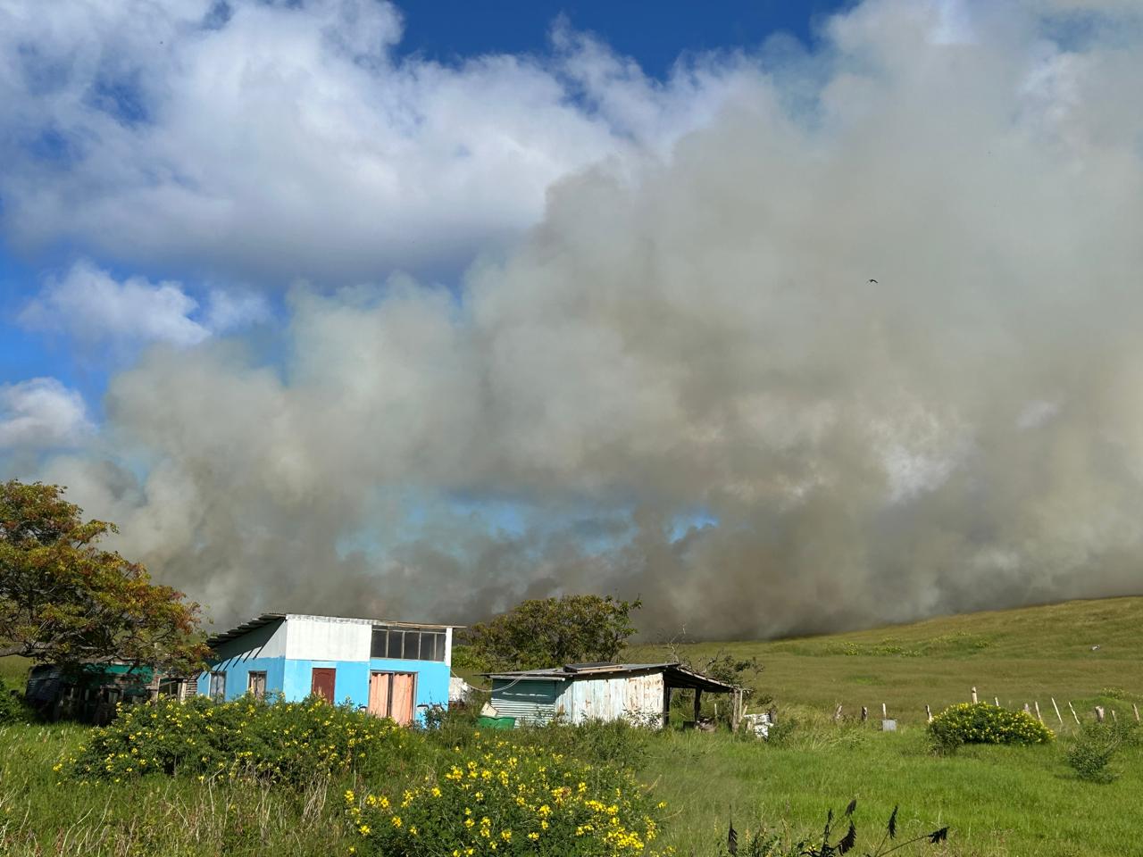 Pastizales secos en los alrededores de Rapa Nui, representando un alto riesgo de incendio.