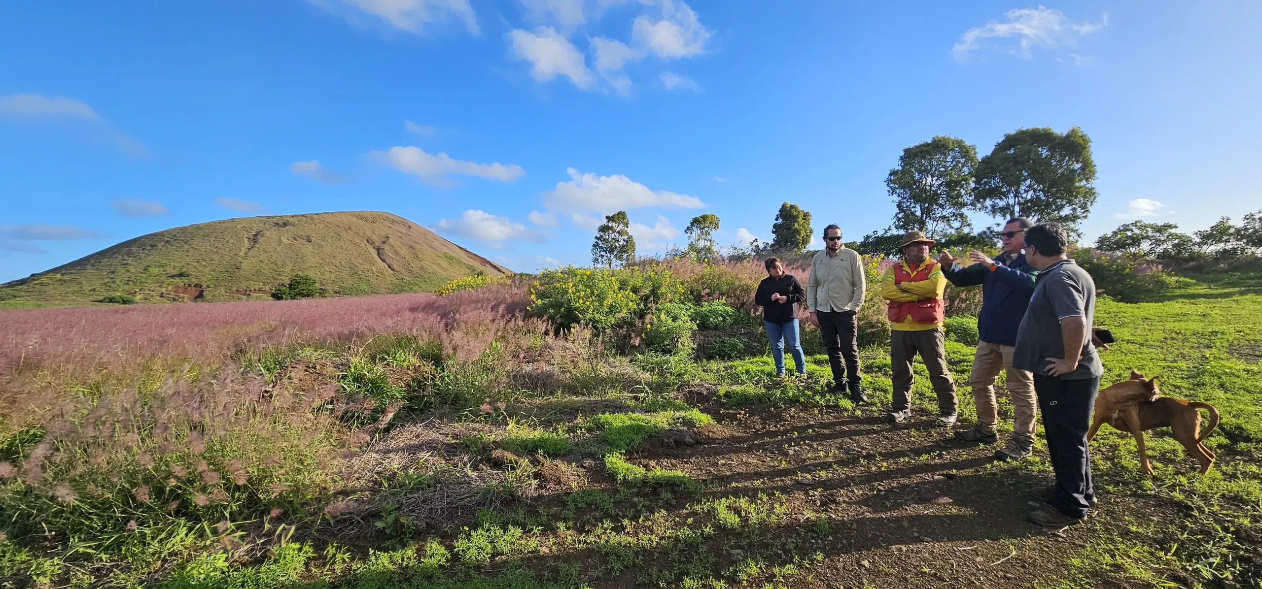 Equipo de CONAF en terreno en Rapa Nui