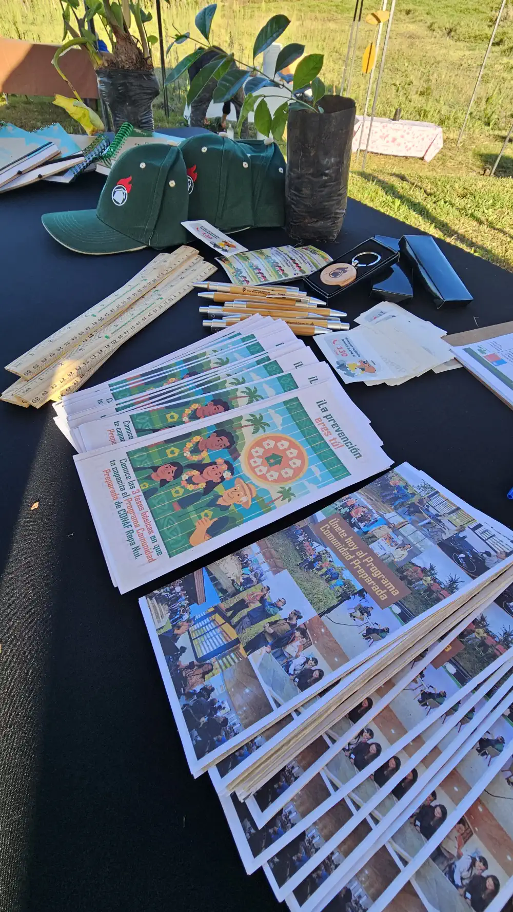 Folletería sobre prevención de incendios forestales