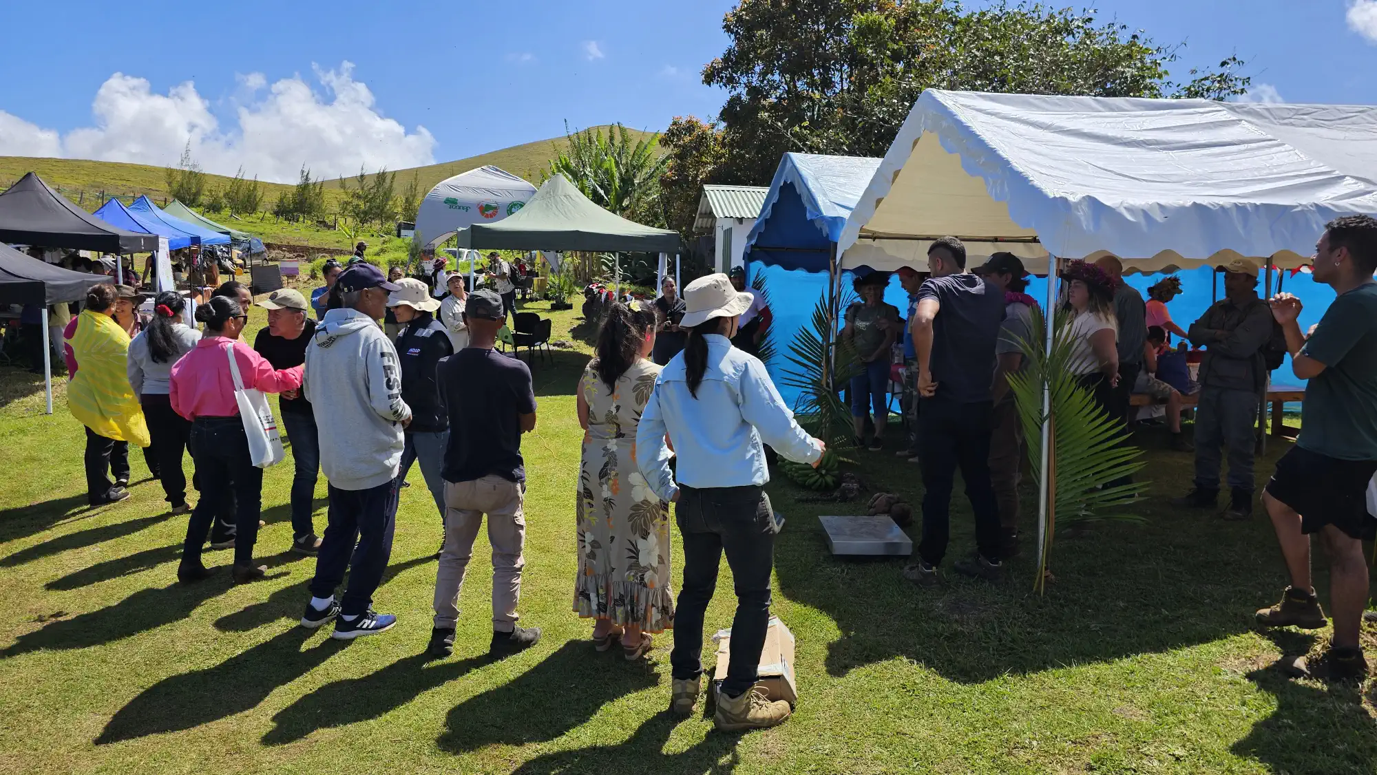 Agricultores locales