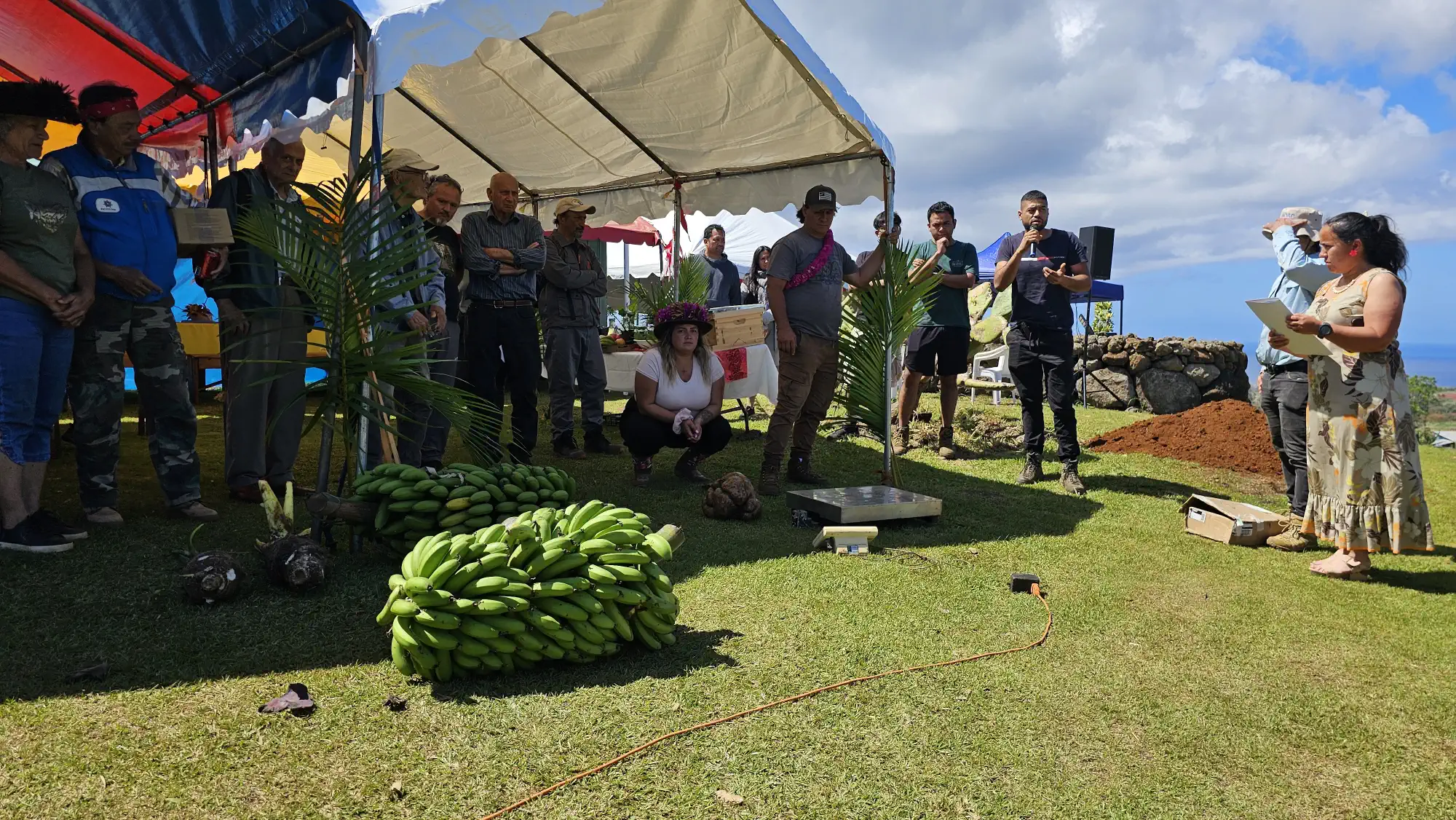 Exposición de plantas nativas