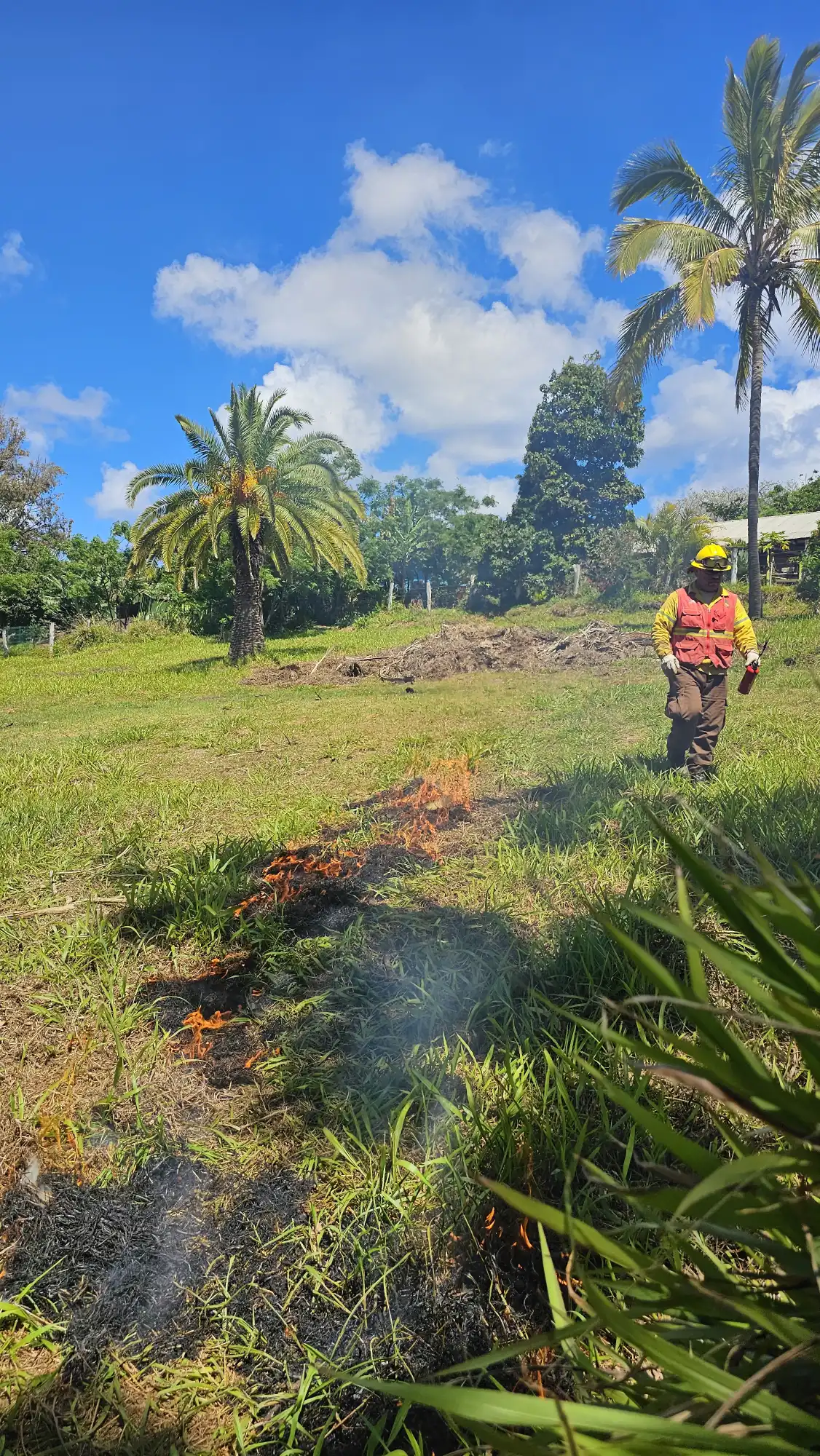 Equipo de CONAF Rapa Nui preparando el terreno