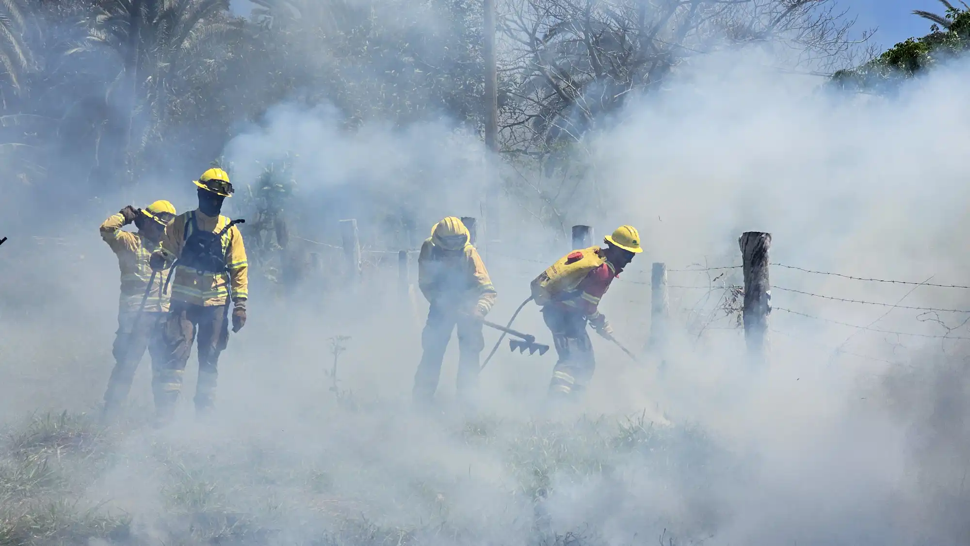 Análisis del comportamiento del fuego durante la quema