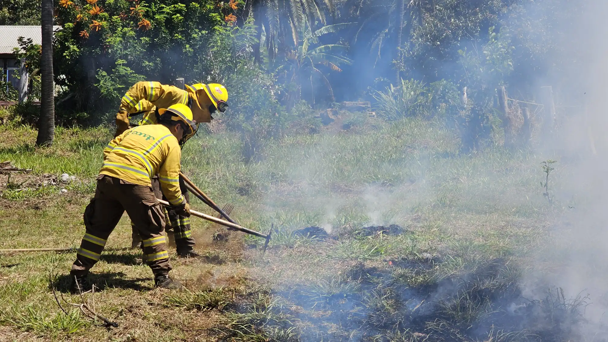 Medidas de seguridad y equipo en terreno