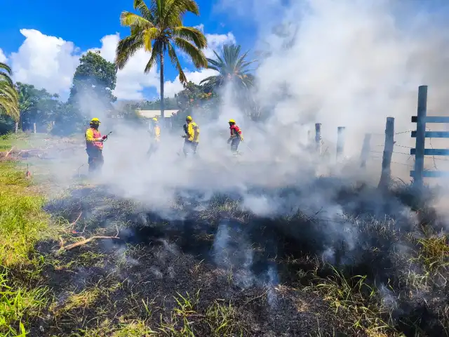 Supervisión detallada de la quema controlada