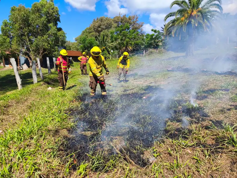 Equipo de CONAF reunido para el balance post-ejercicio