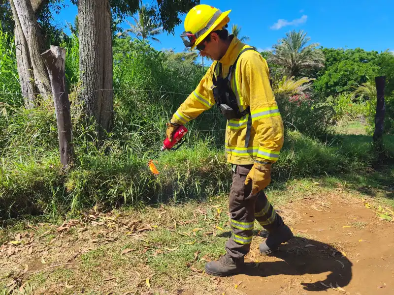 Vista del terreno después de la quema controlada